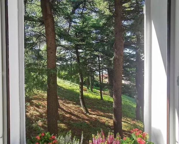 Monte 21 - San Giusto *