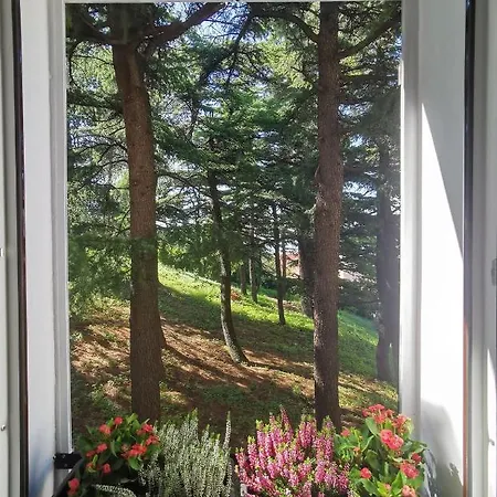 Monte 21 - San Giusto *